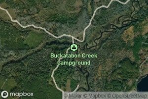 Buckatabon Creek