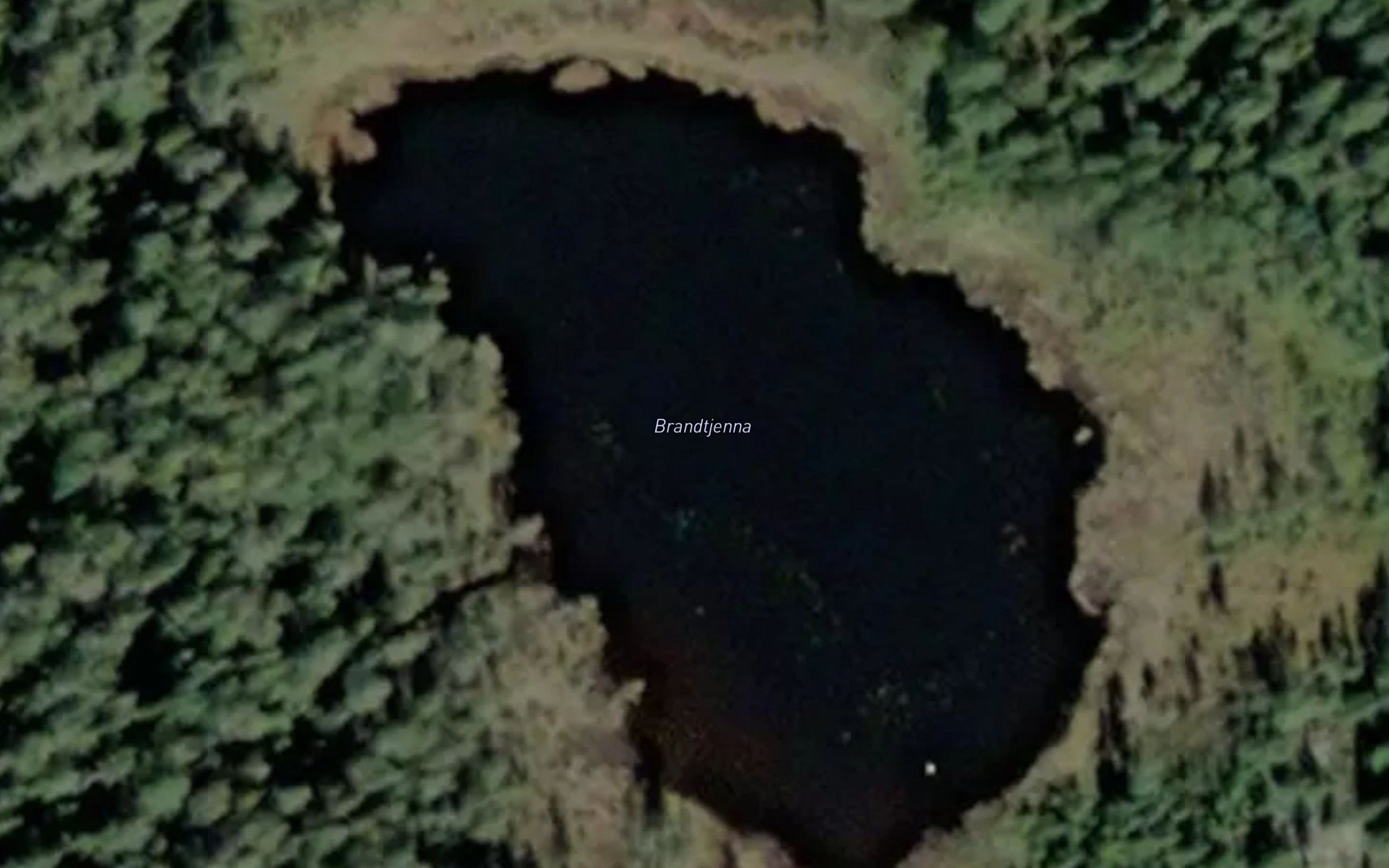 Brandtjerna