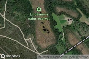 Linasdolpene