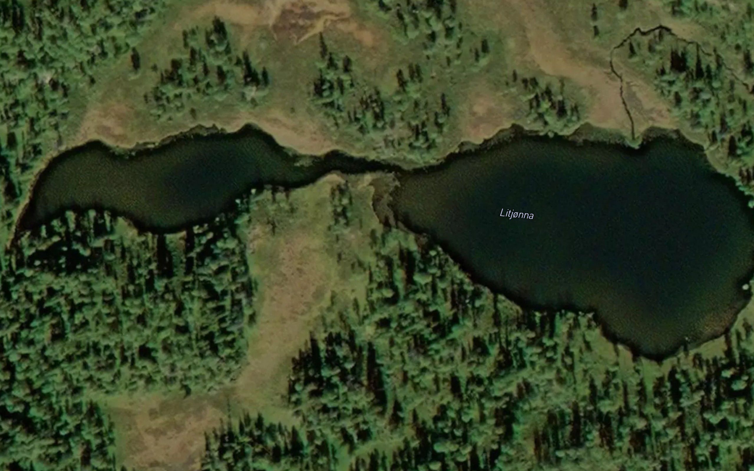 Litjorna