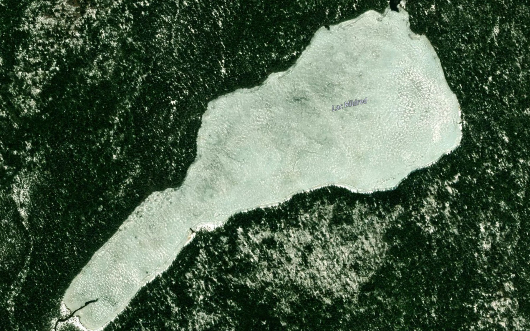 Satellite map of the Lac Mildred
