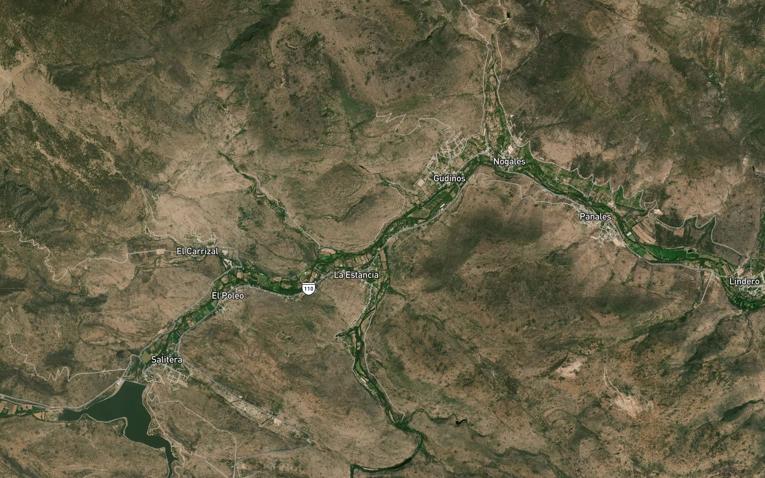 Colon