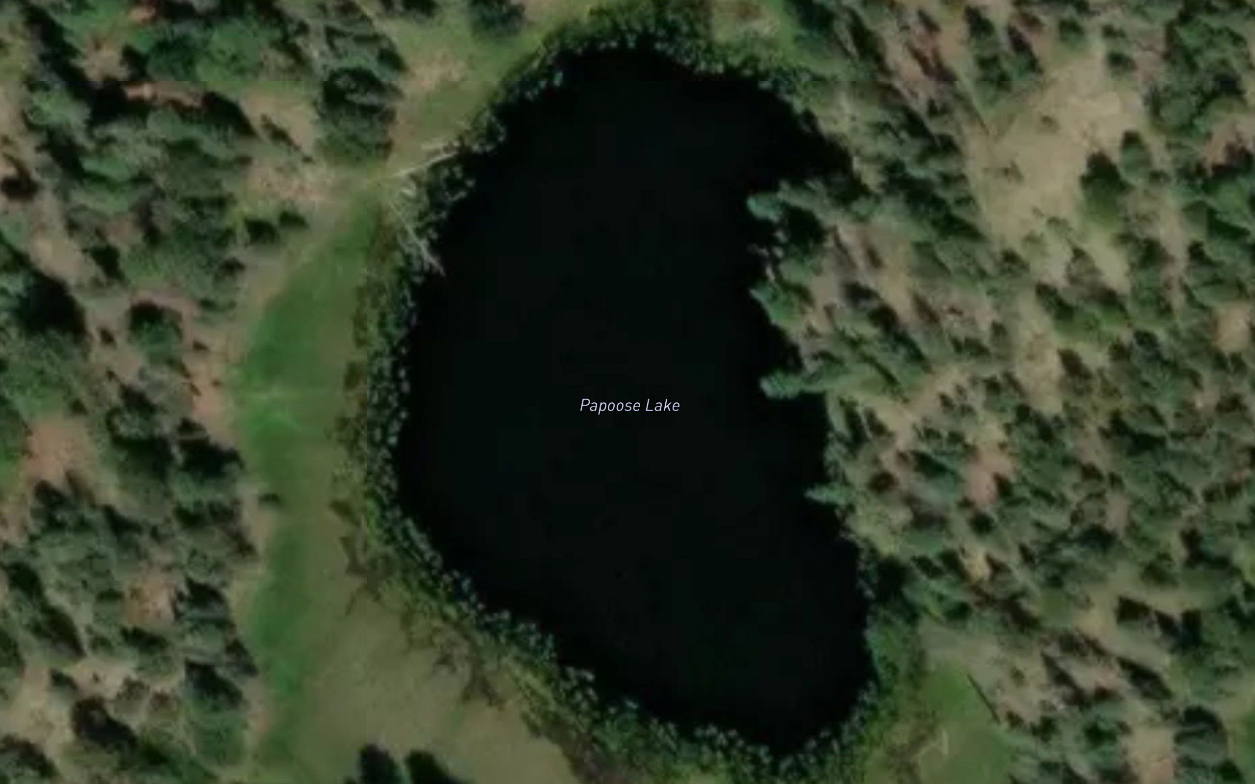 Papoose Lake