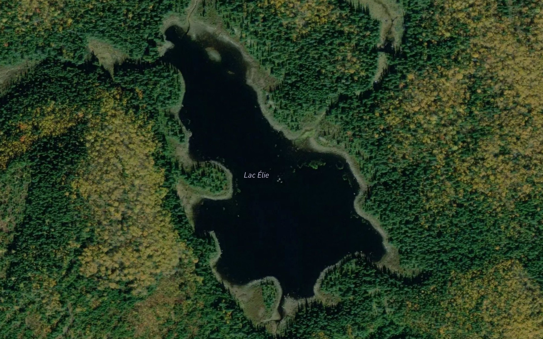 Satellite map of the Lac Elie