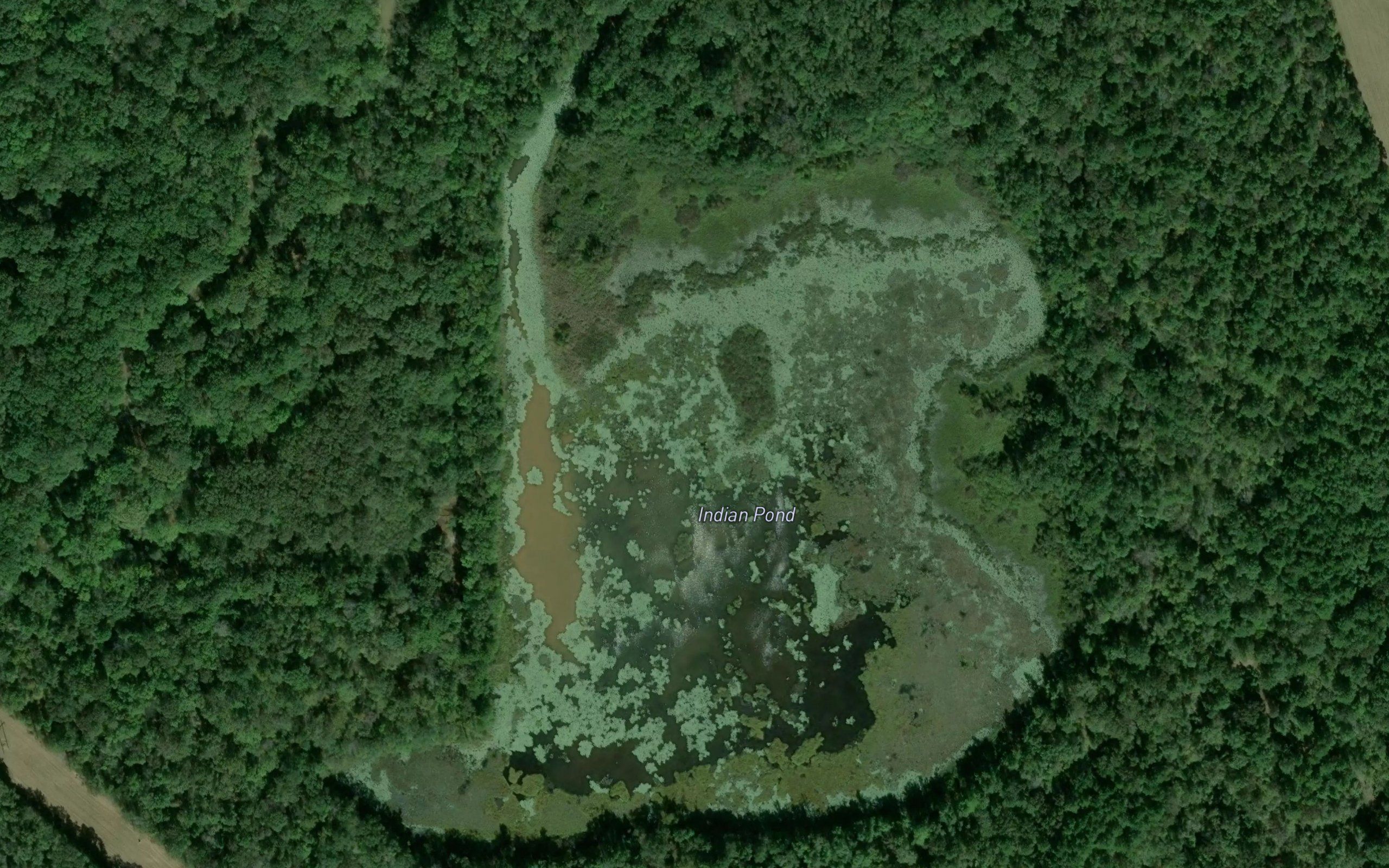 Indian Pond