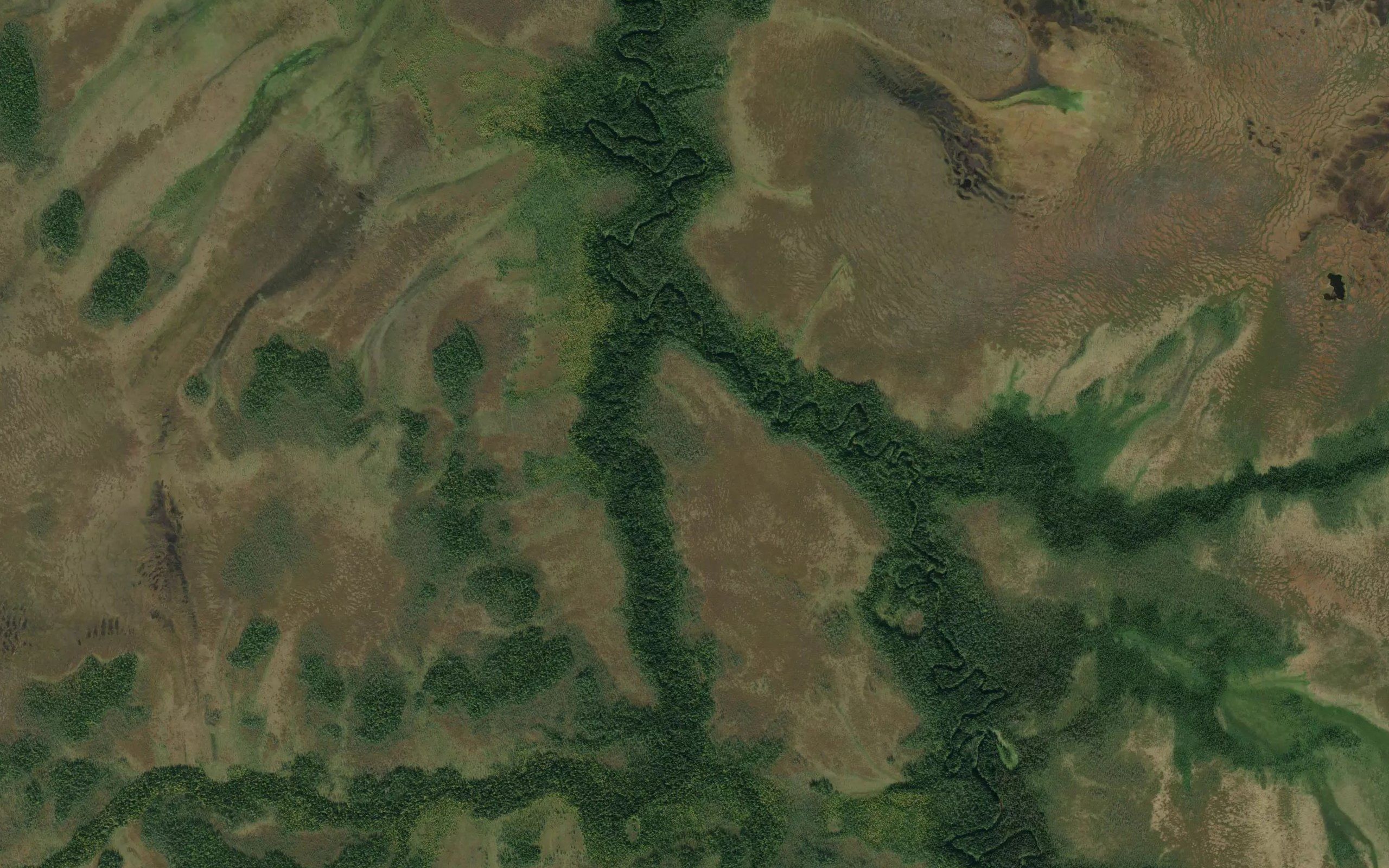 Dikoverka