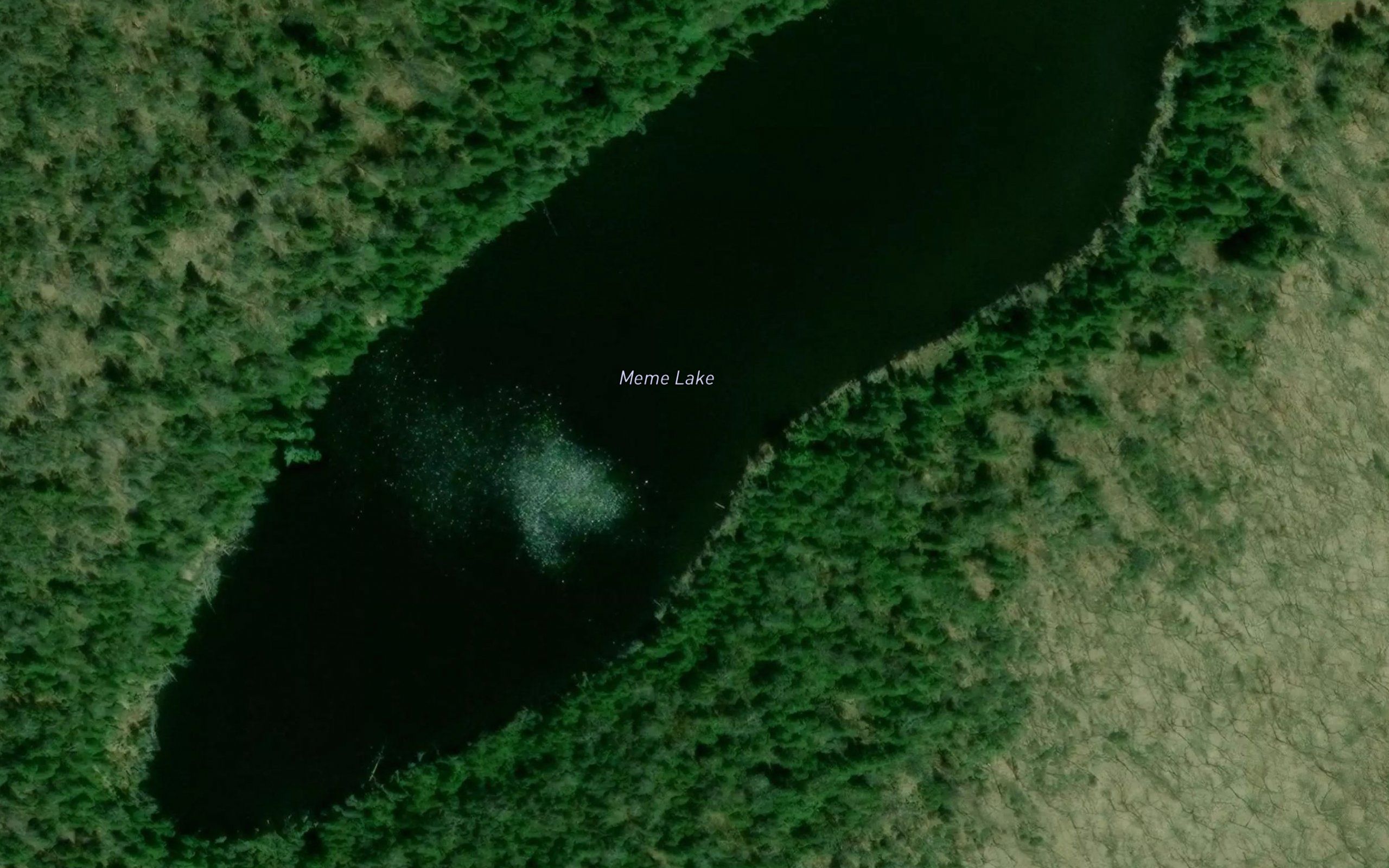 Meme Lake