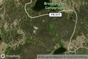 Little Brooklyn Lake