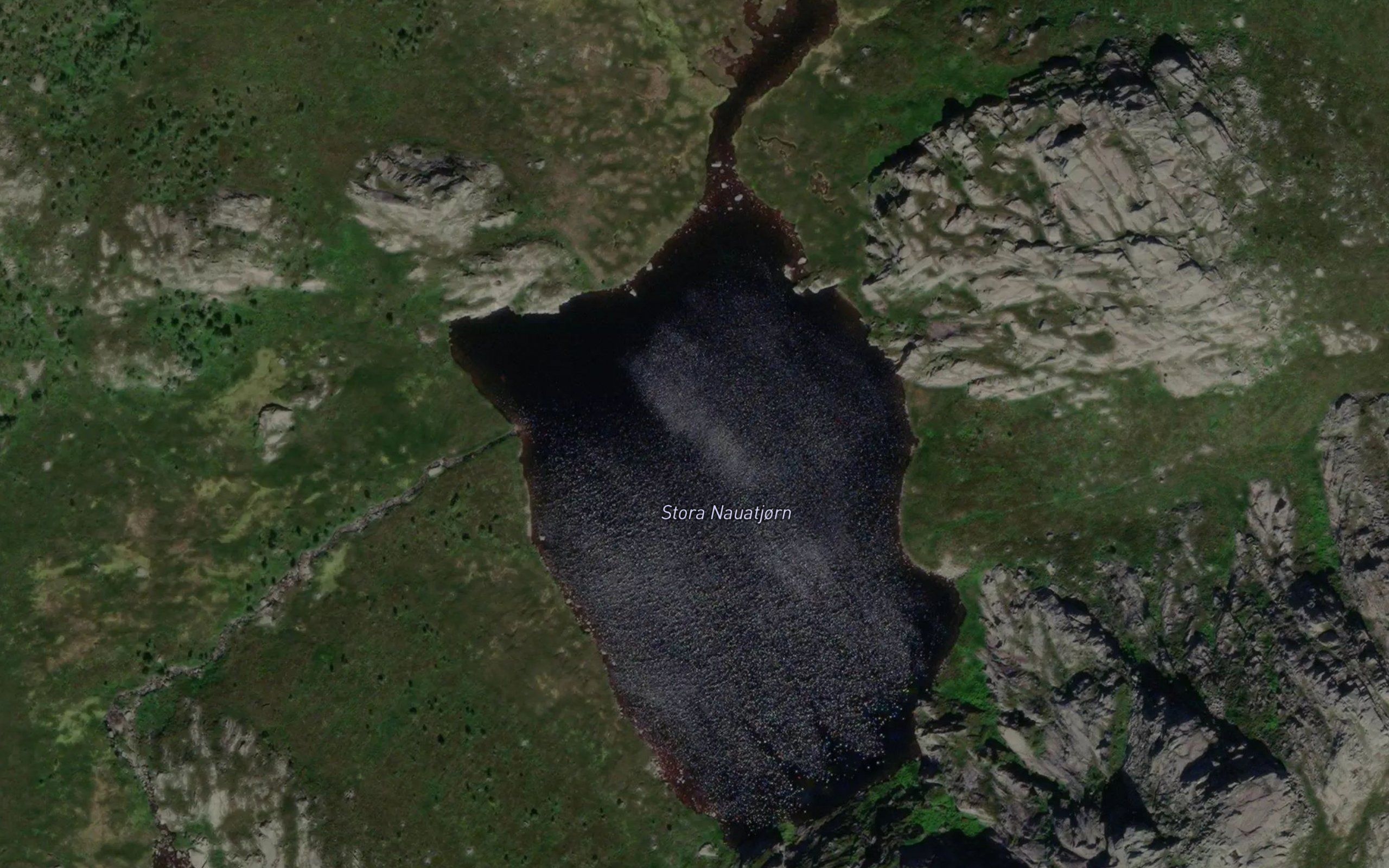 Stora Nauatjorn