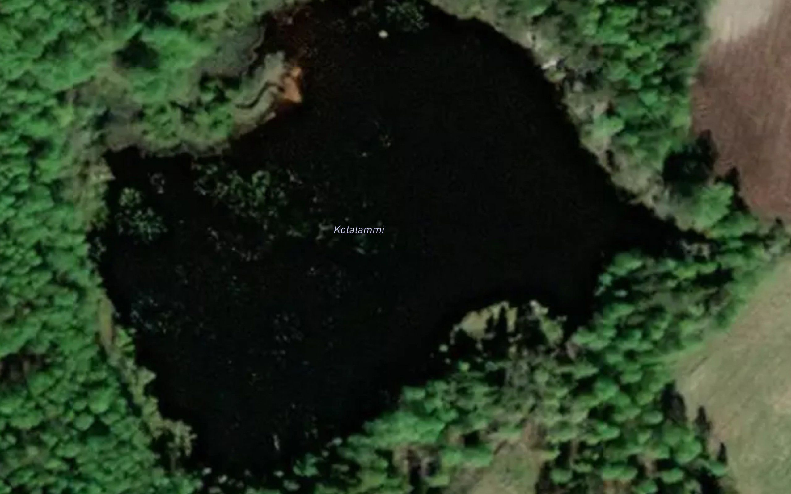 Kotalammi