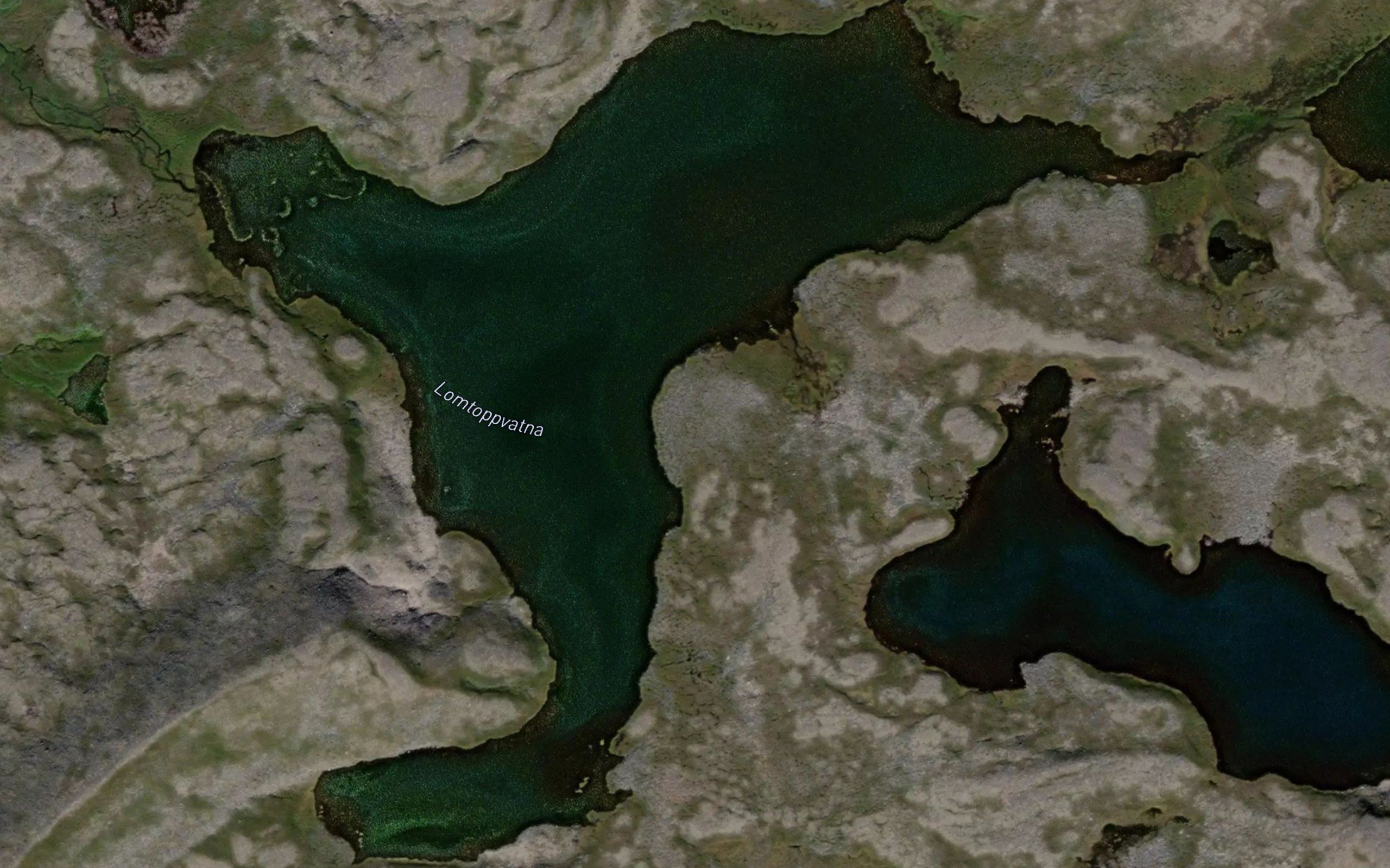 Lomtoppvatna