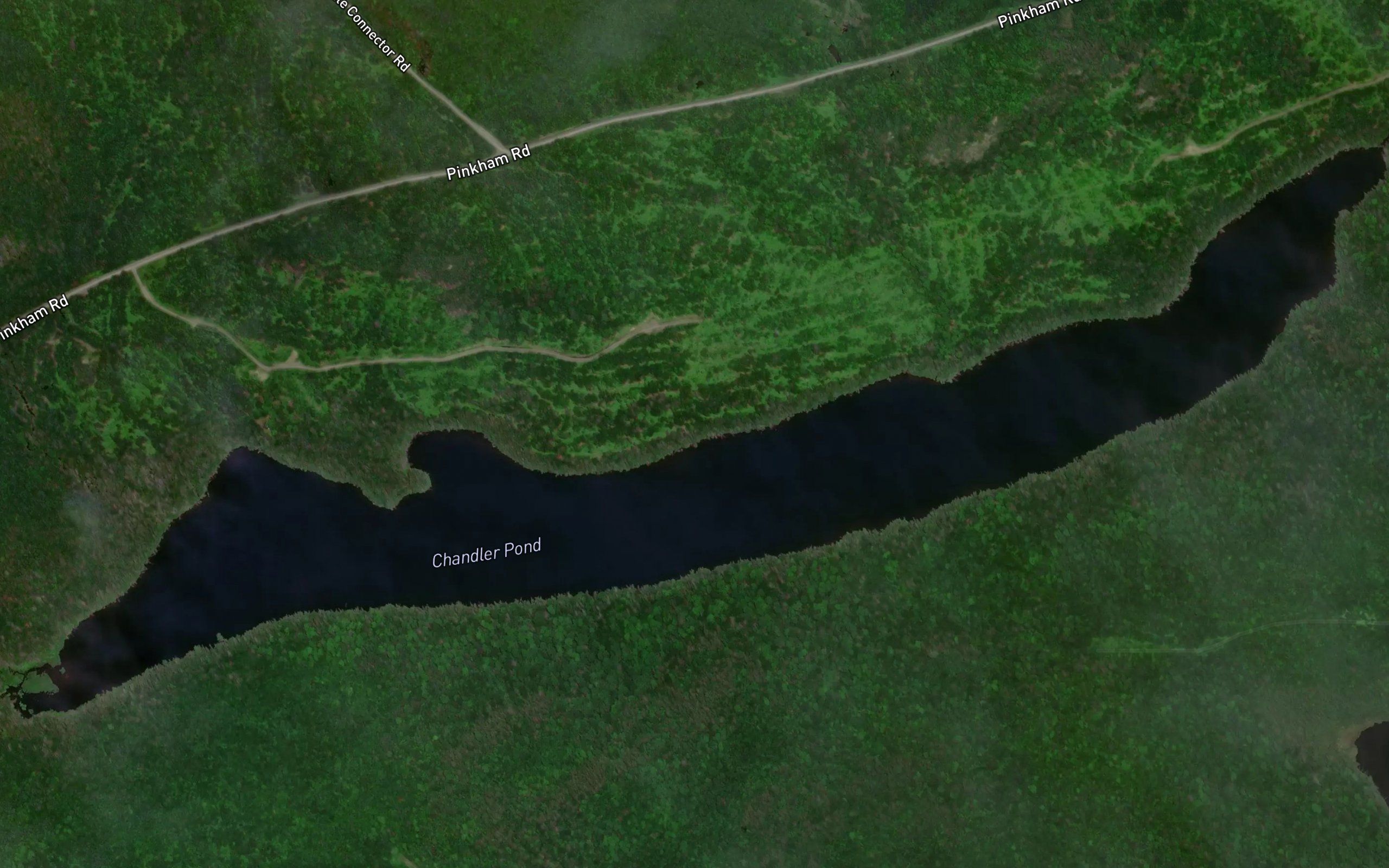 Chandler Pond