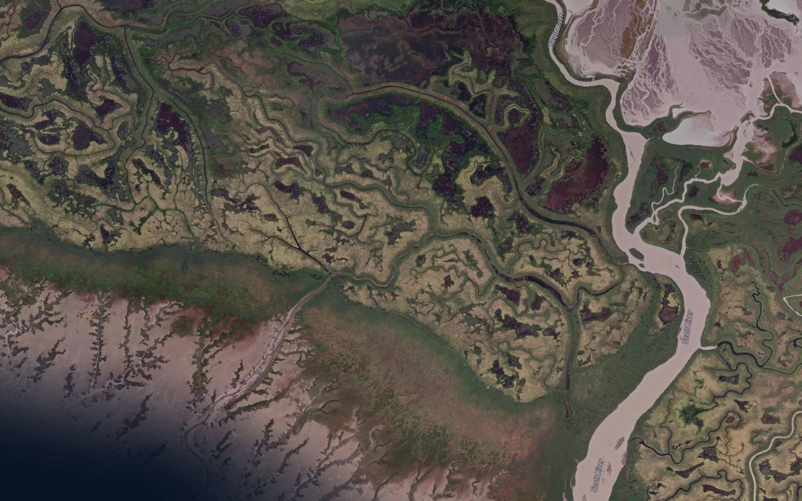 Johnson Slough