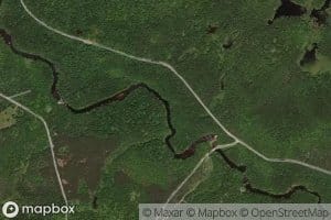 Randall Brook