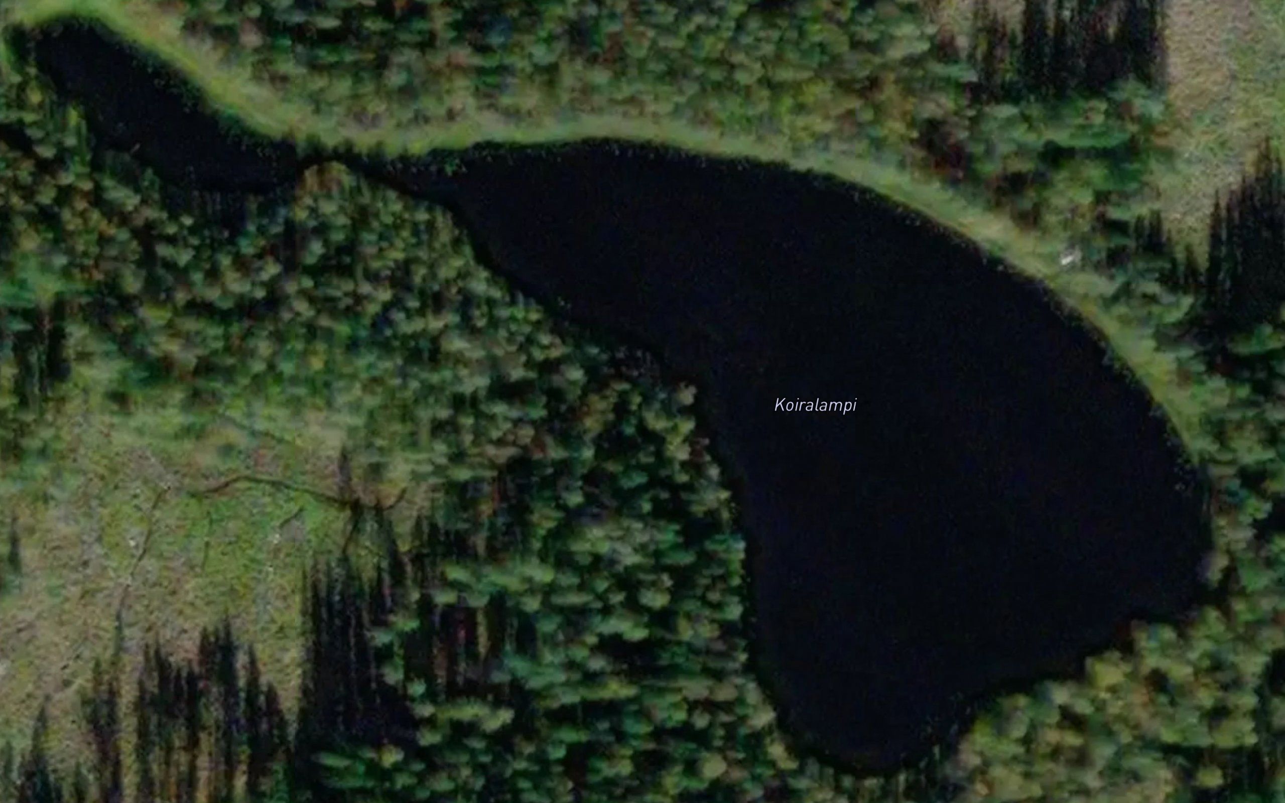 Koiralampi
