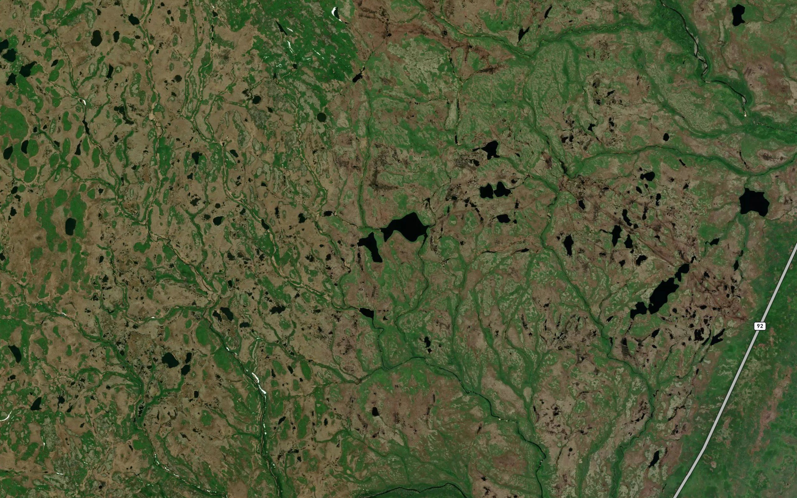 Beaver Ponds
