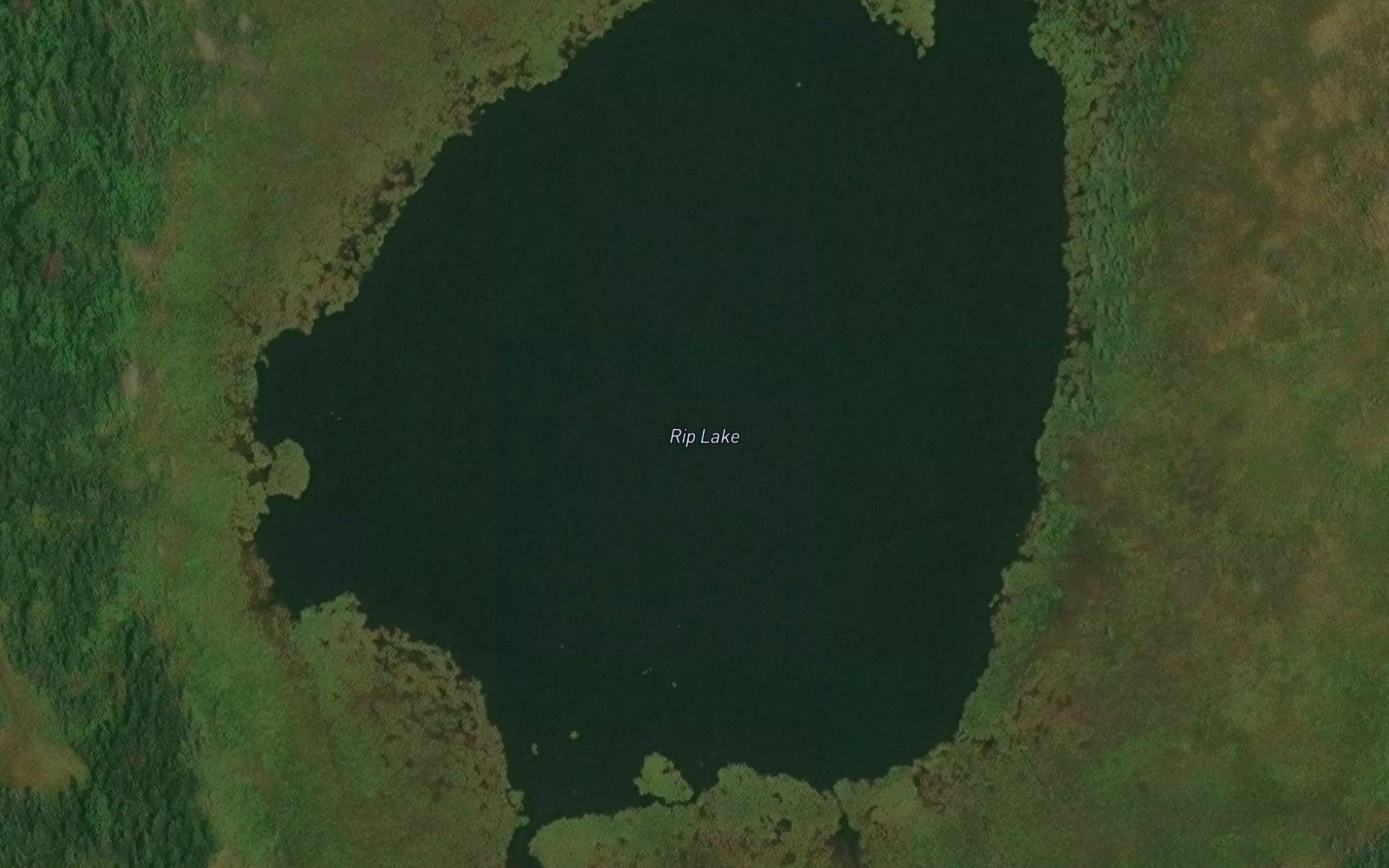 Rip Lake