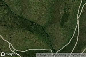 Left Branch Half Mile Run