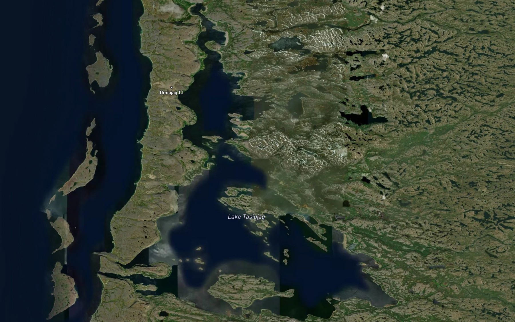 Satellite map of the Lac Guillaume-Delisle