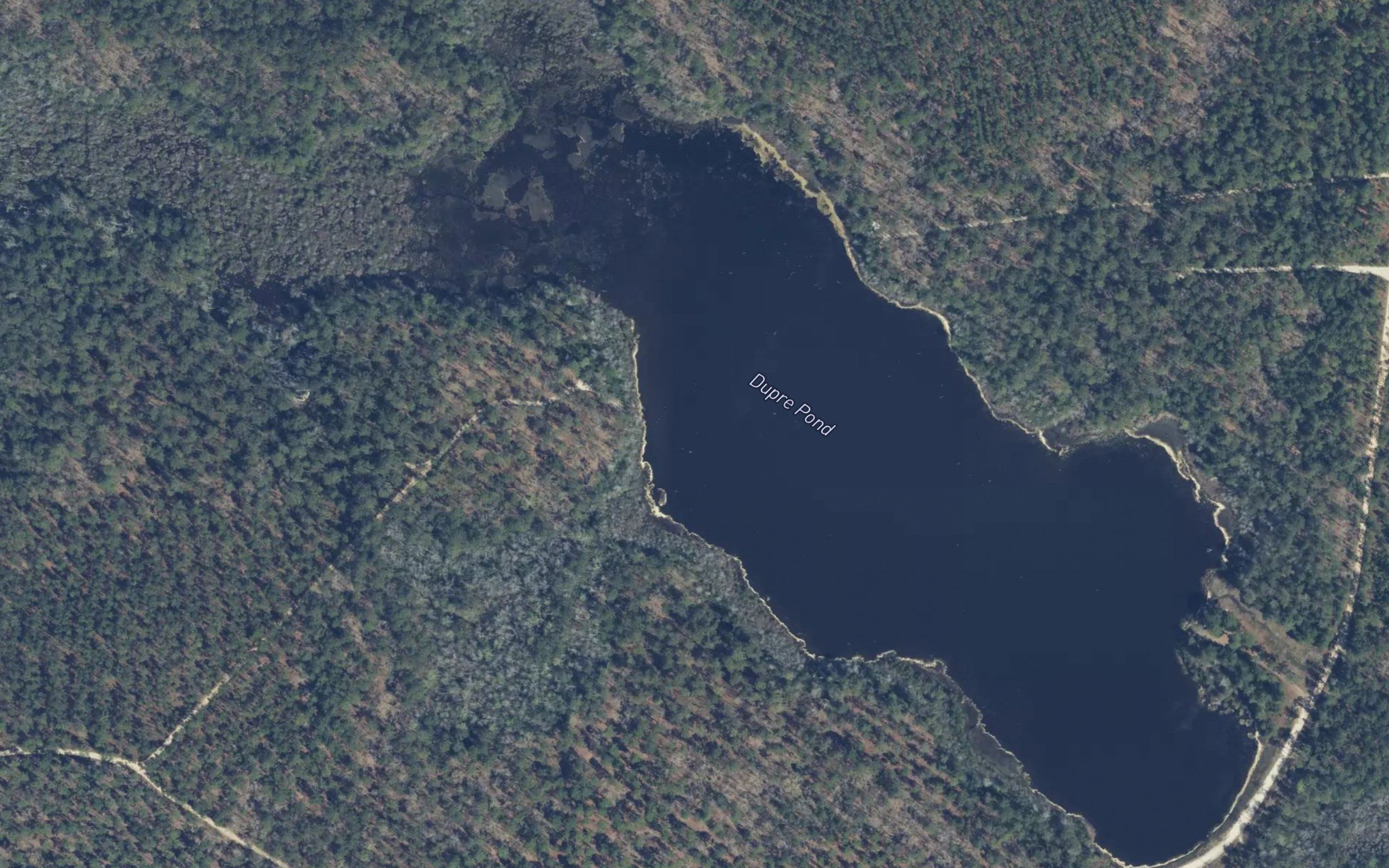 Dupre Pond