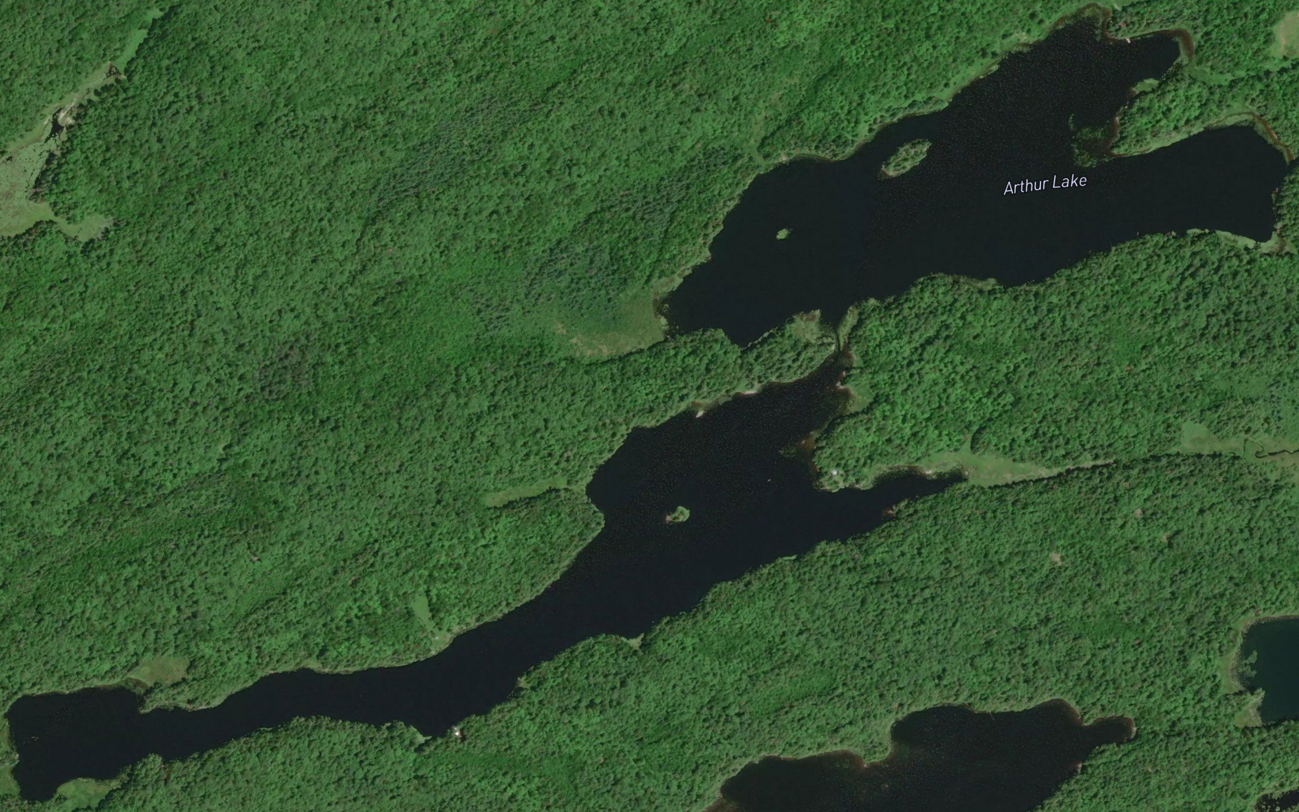 Arthur Lake