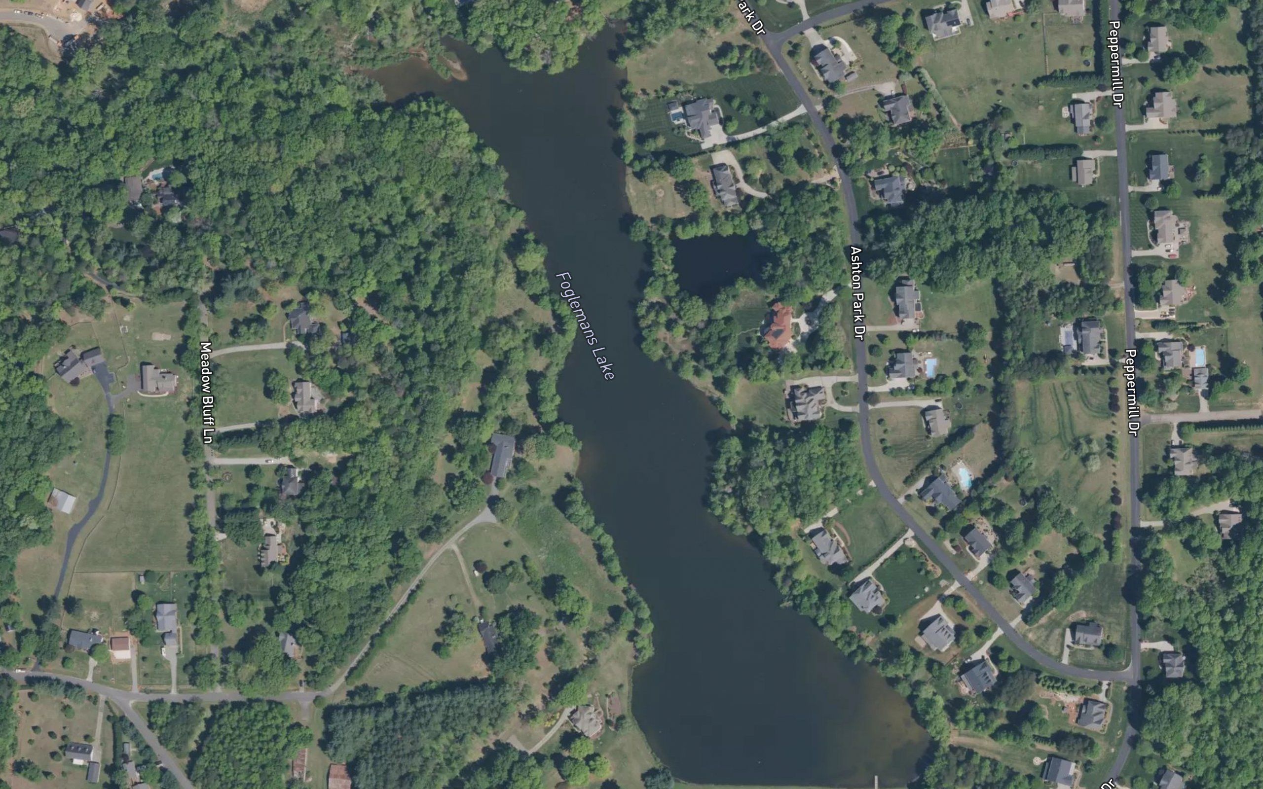 Foglemans Lake