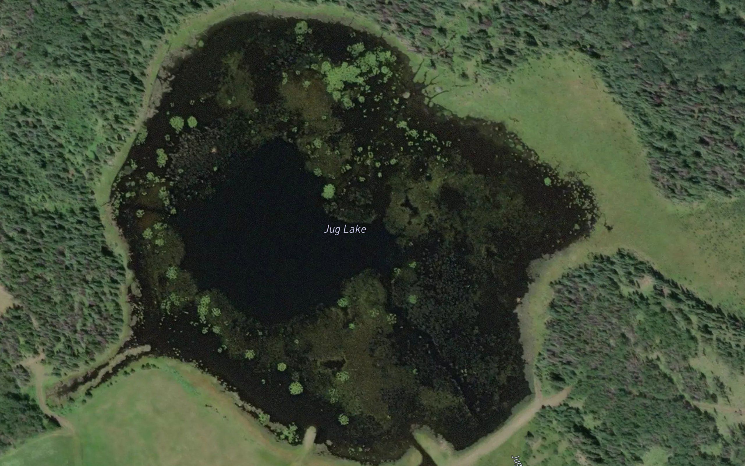 Jug Lake