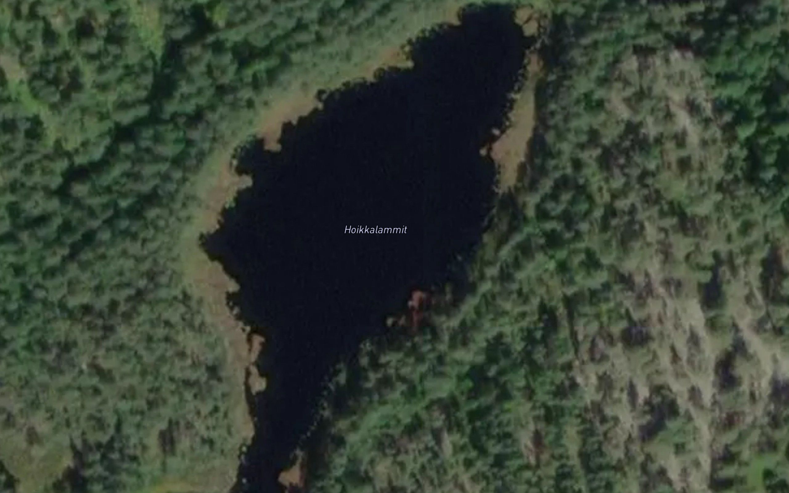 Hoikkalammit