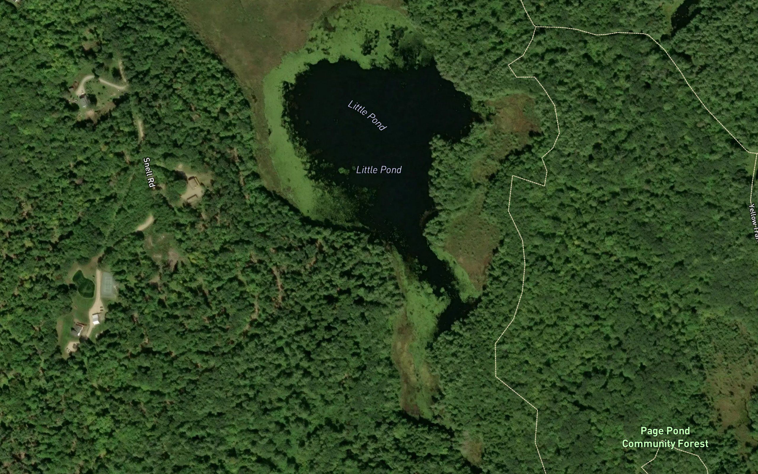 Little Pond