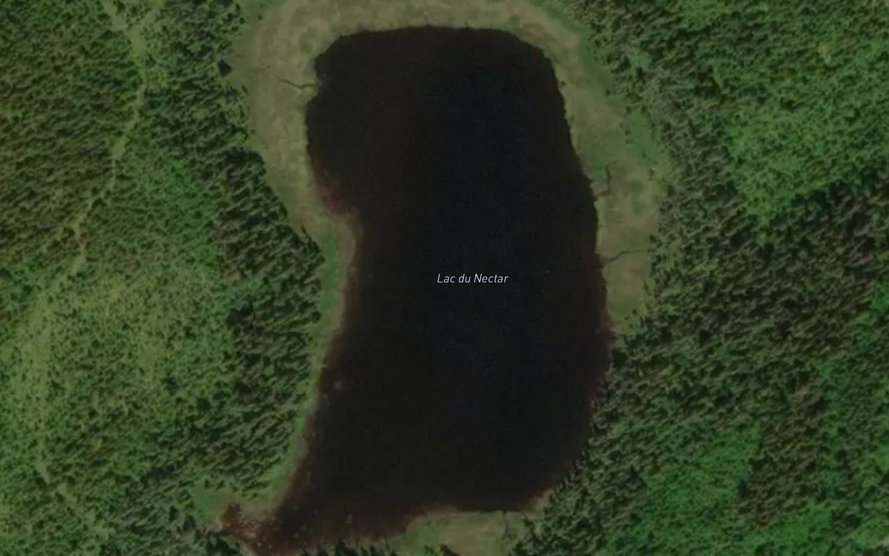 Satellite map of the Lac du Nectar