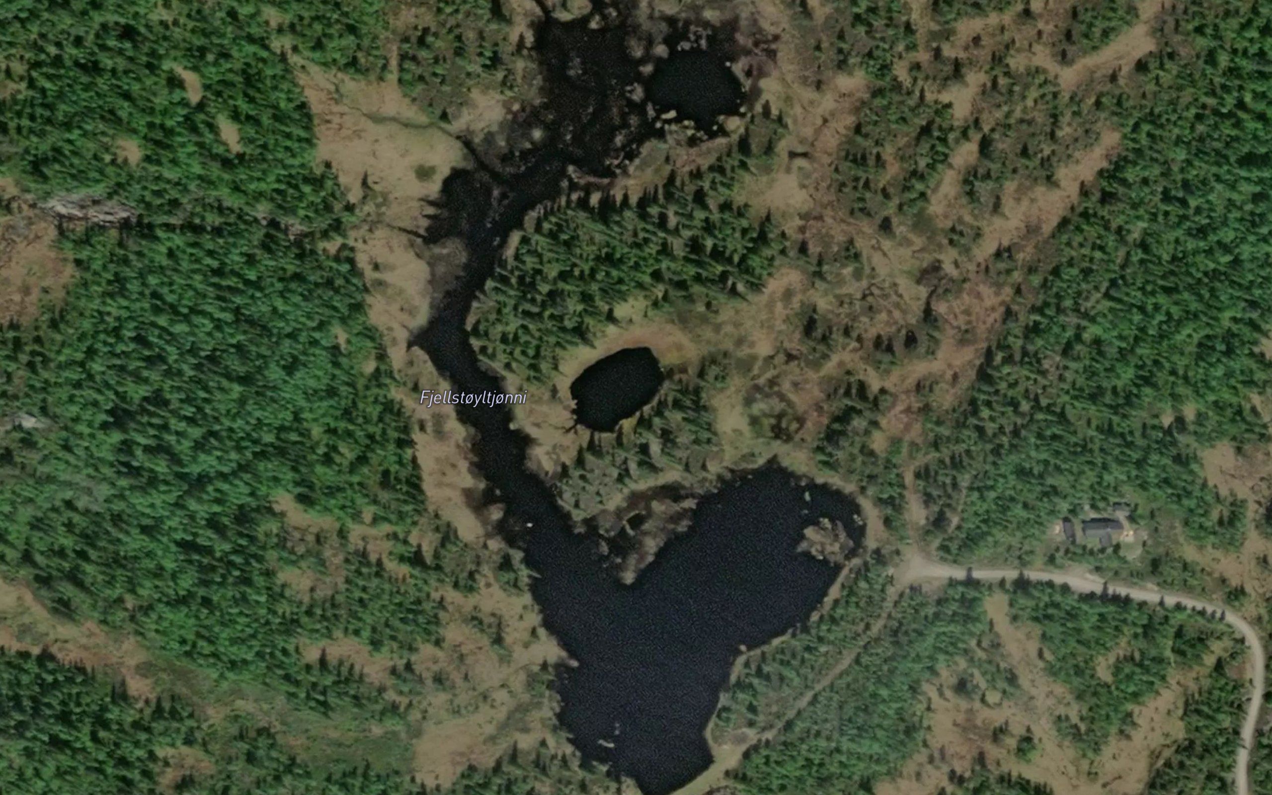 Fjellstoyltjornane