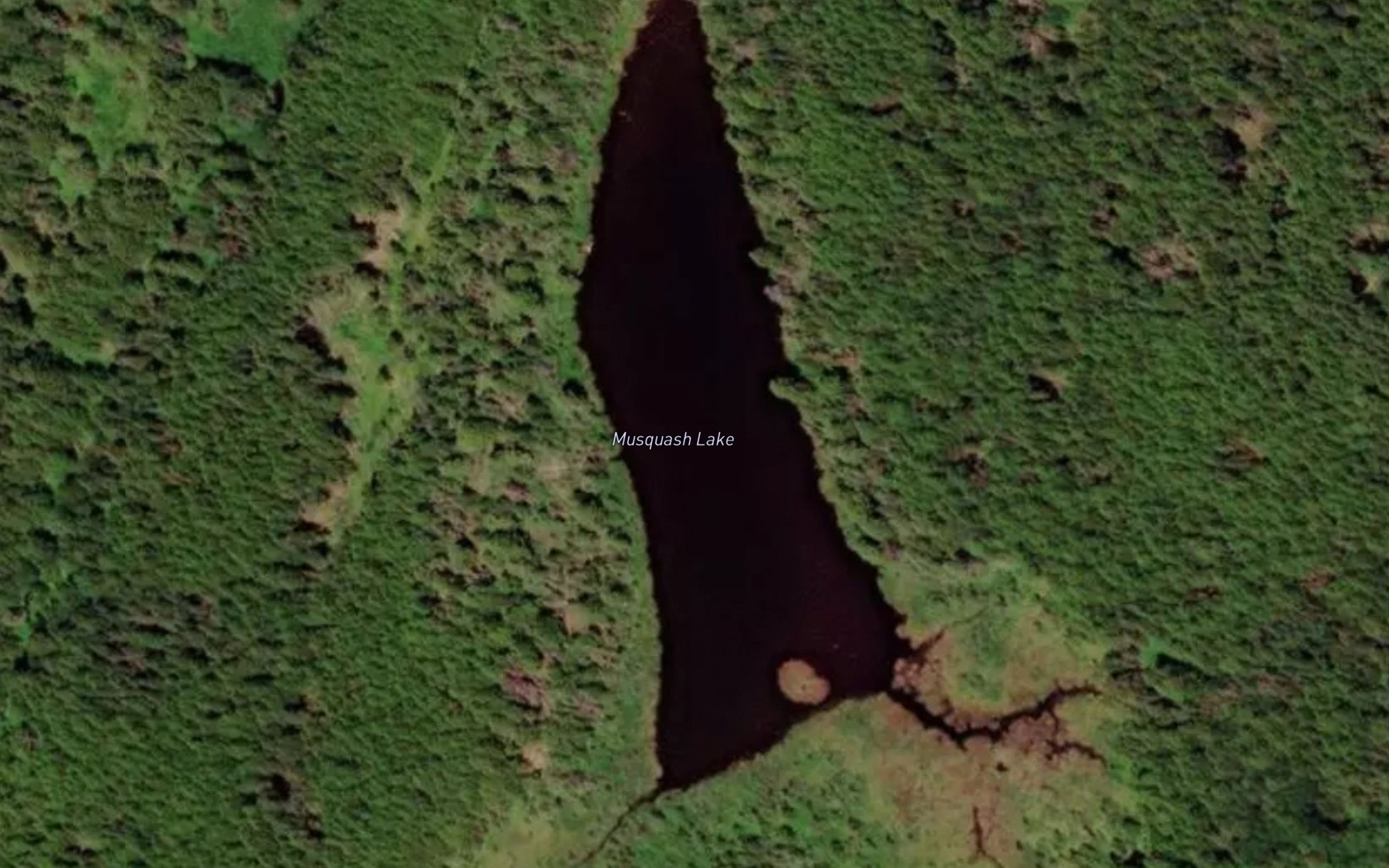 Satellite map of the Musquash Lake