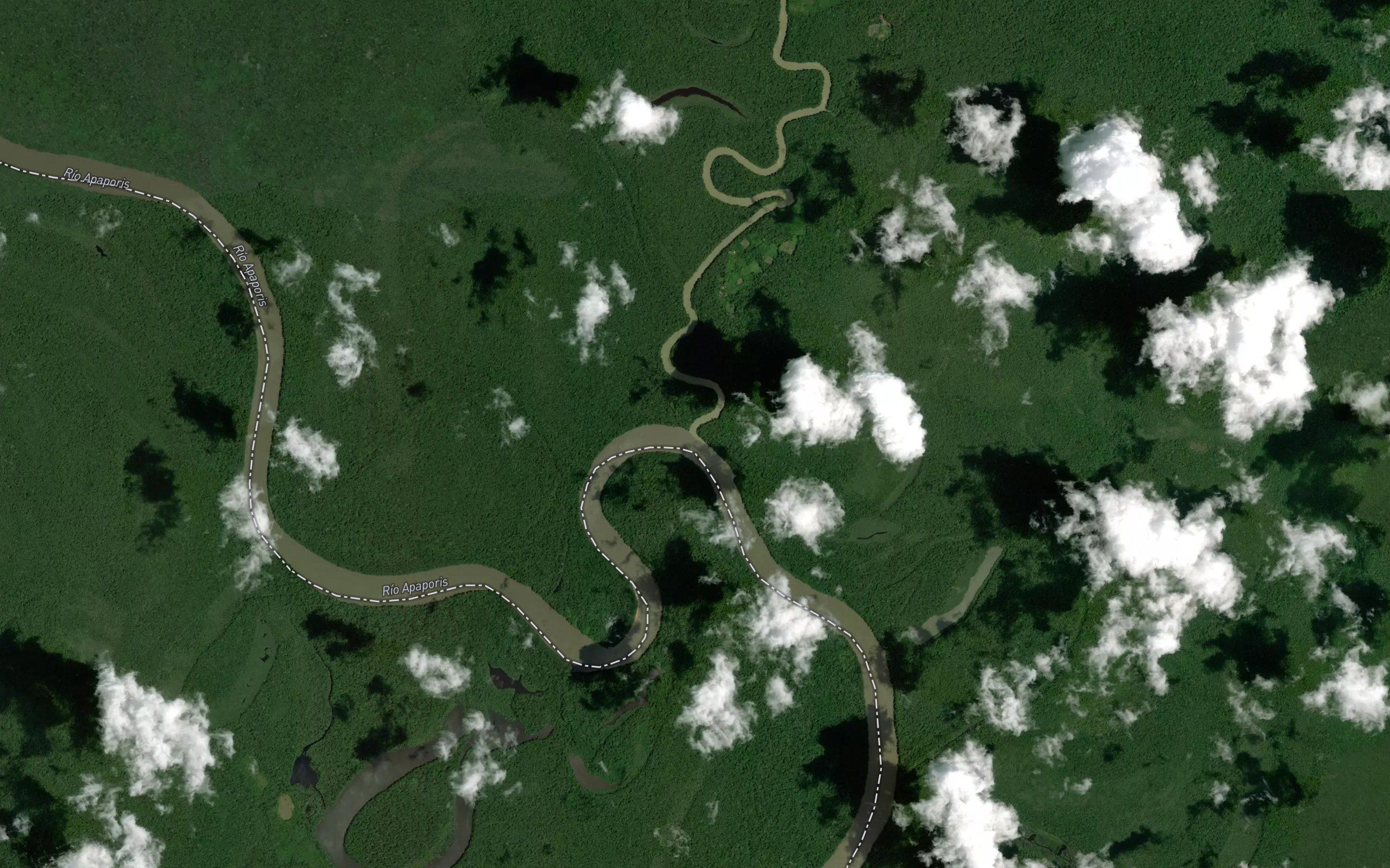 Rio Pacoa