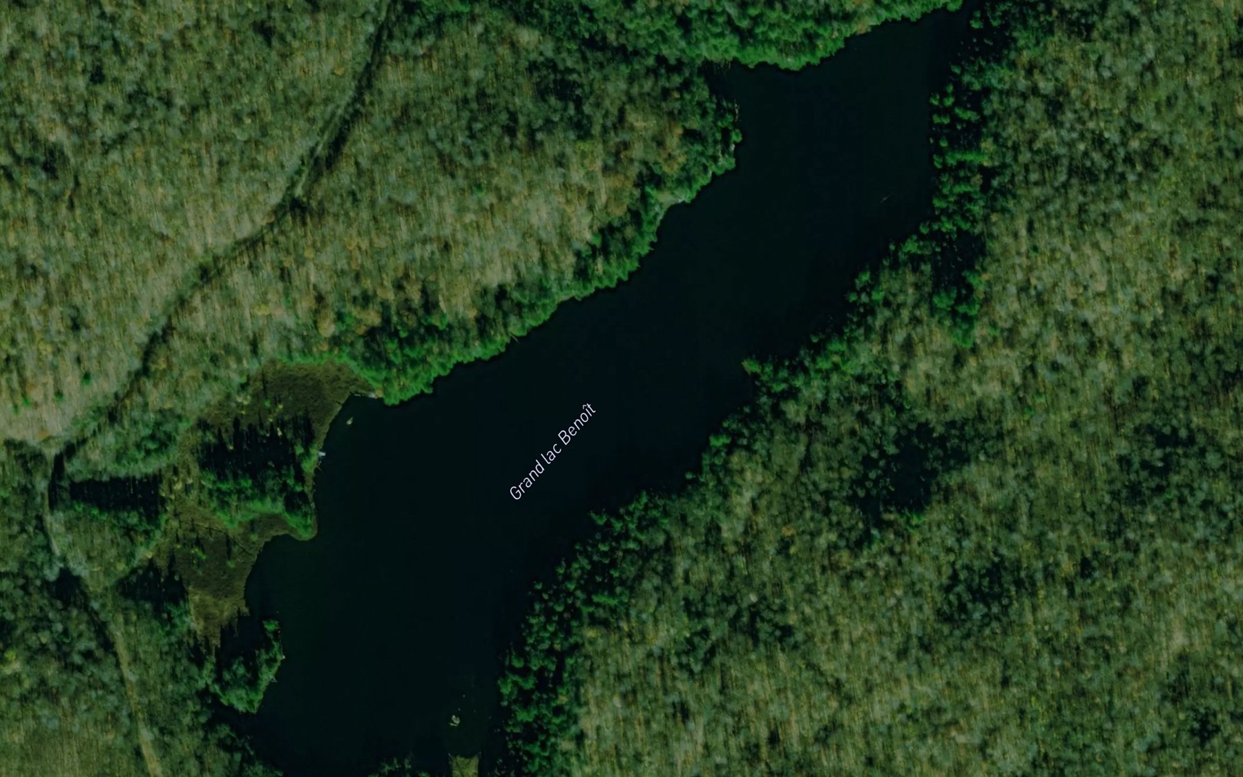 Satellite map of the Grand lac Benoit
