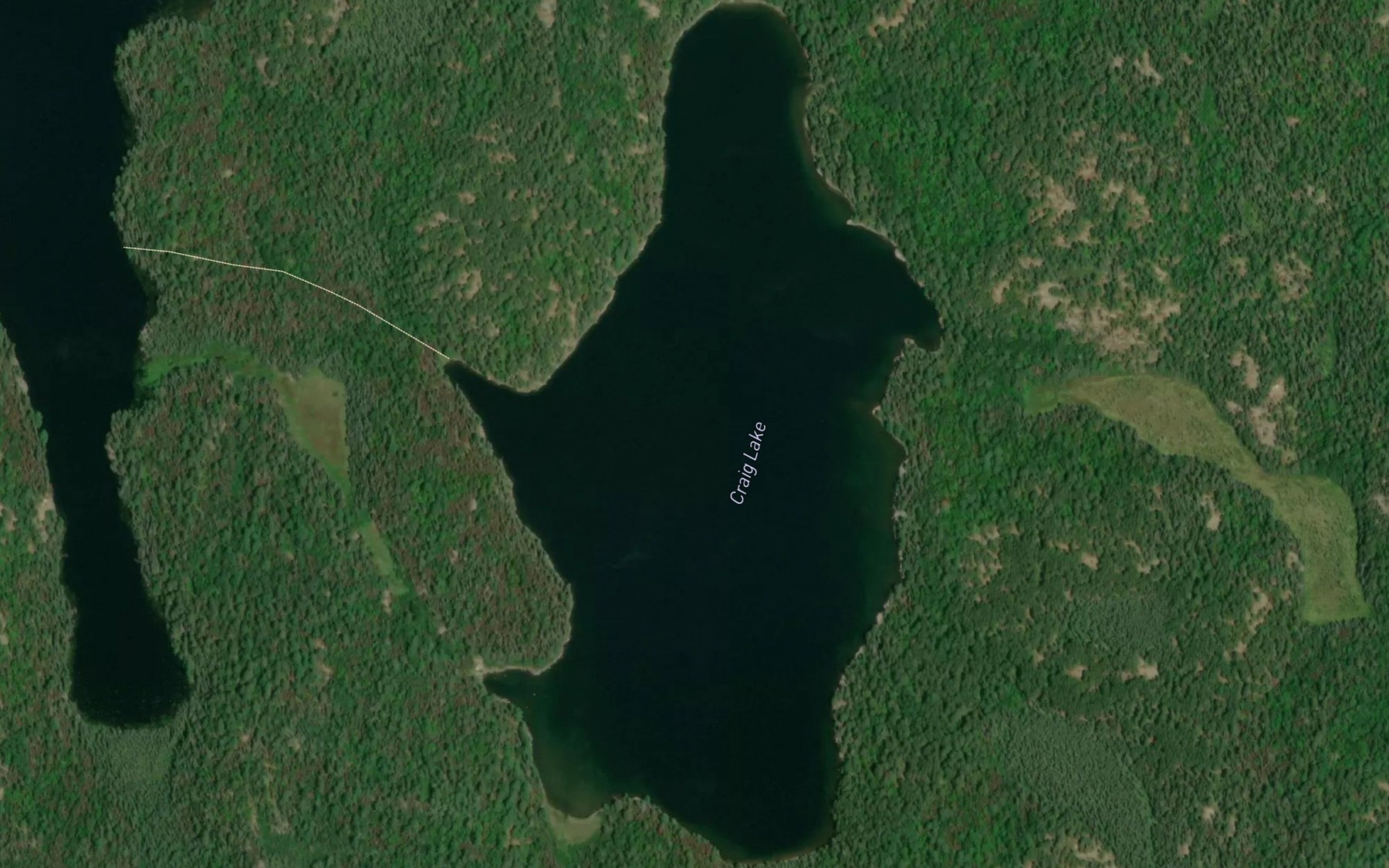 Satellite map of the Craig Lake