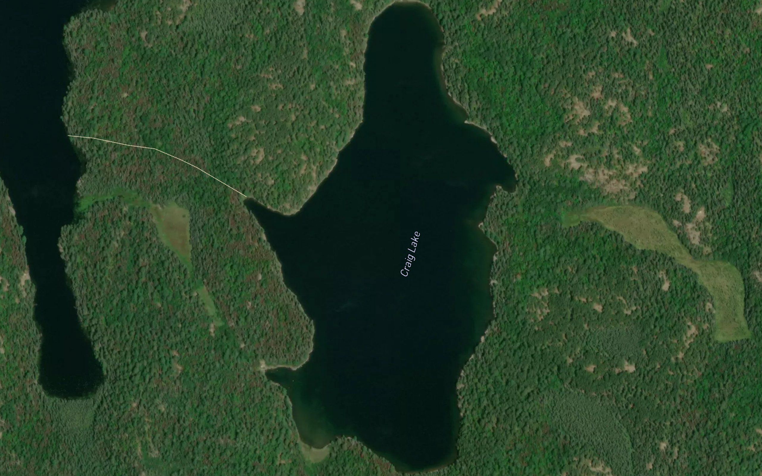 Craig Lake