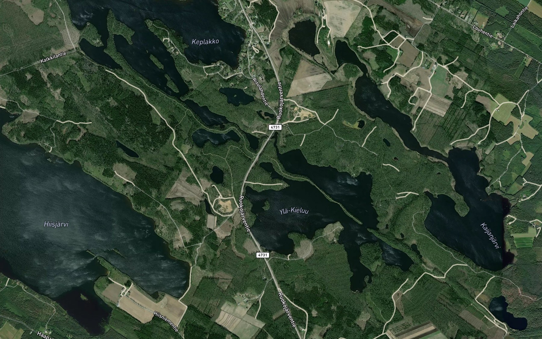 Satellite map of the Rohvostinlahti