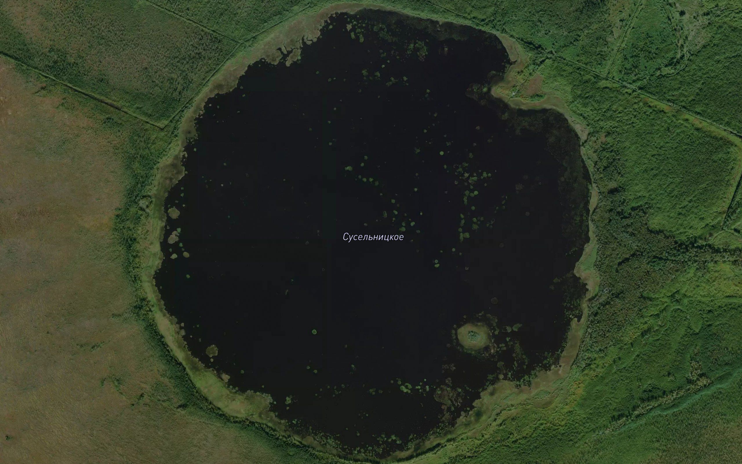 Ozero Susel'nitskoye