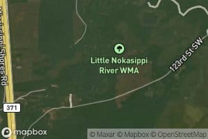 Little Nokasippi River