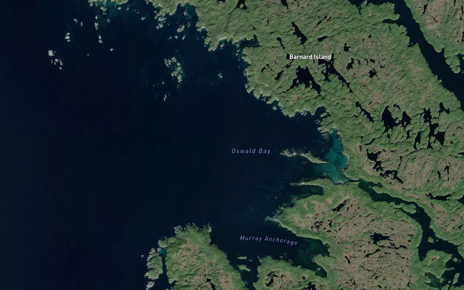 Satellite map of the Oswald Bay
