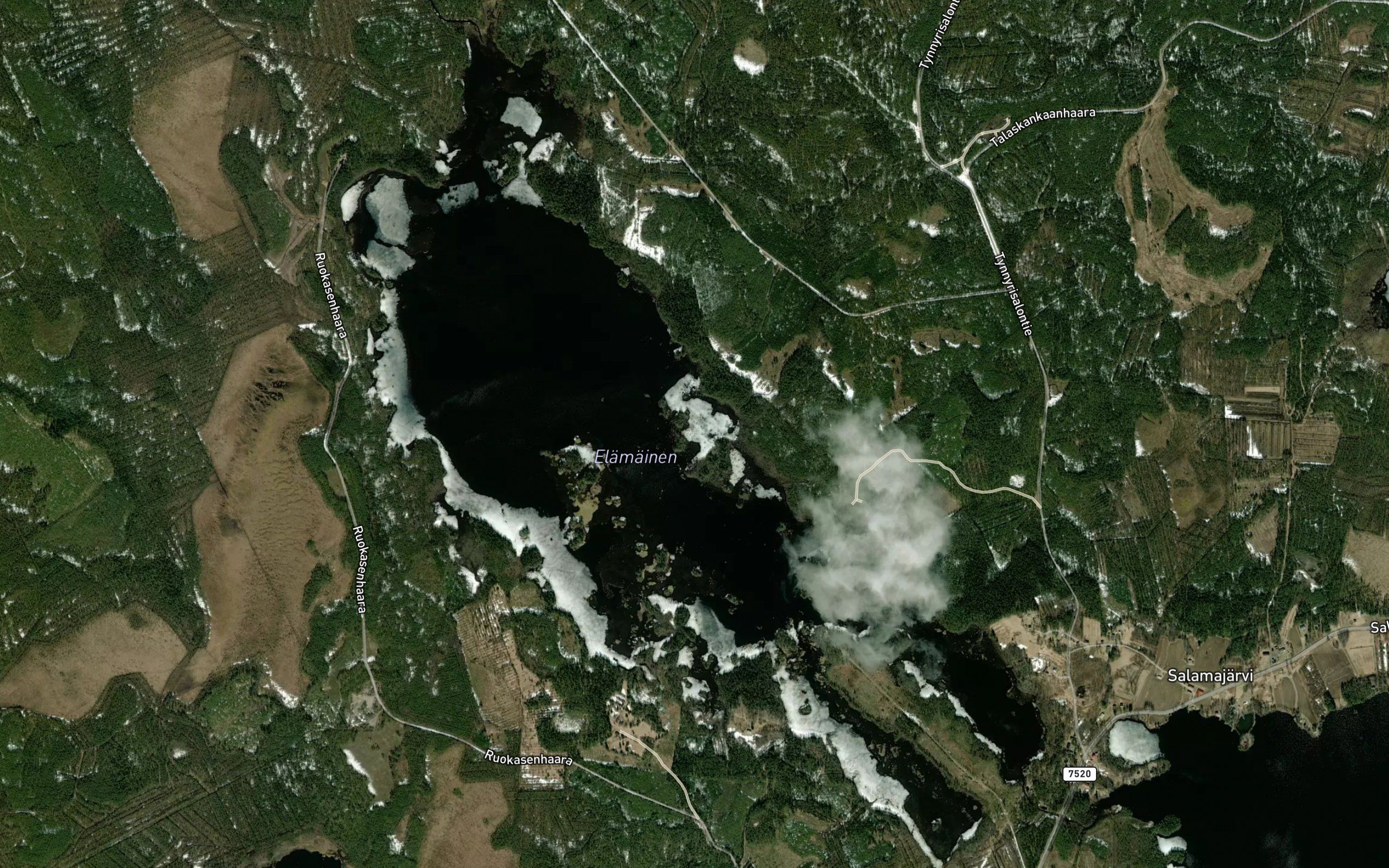 Elamainen