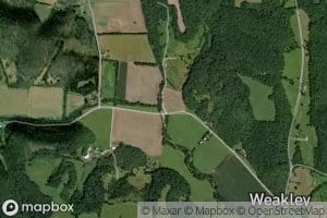 Wet Weakley Creek