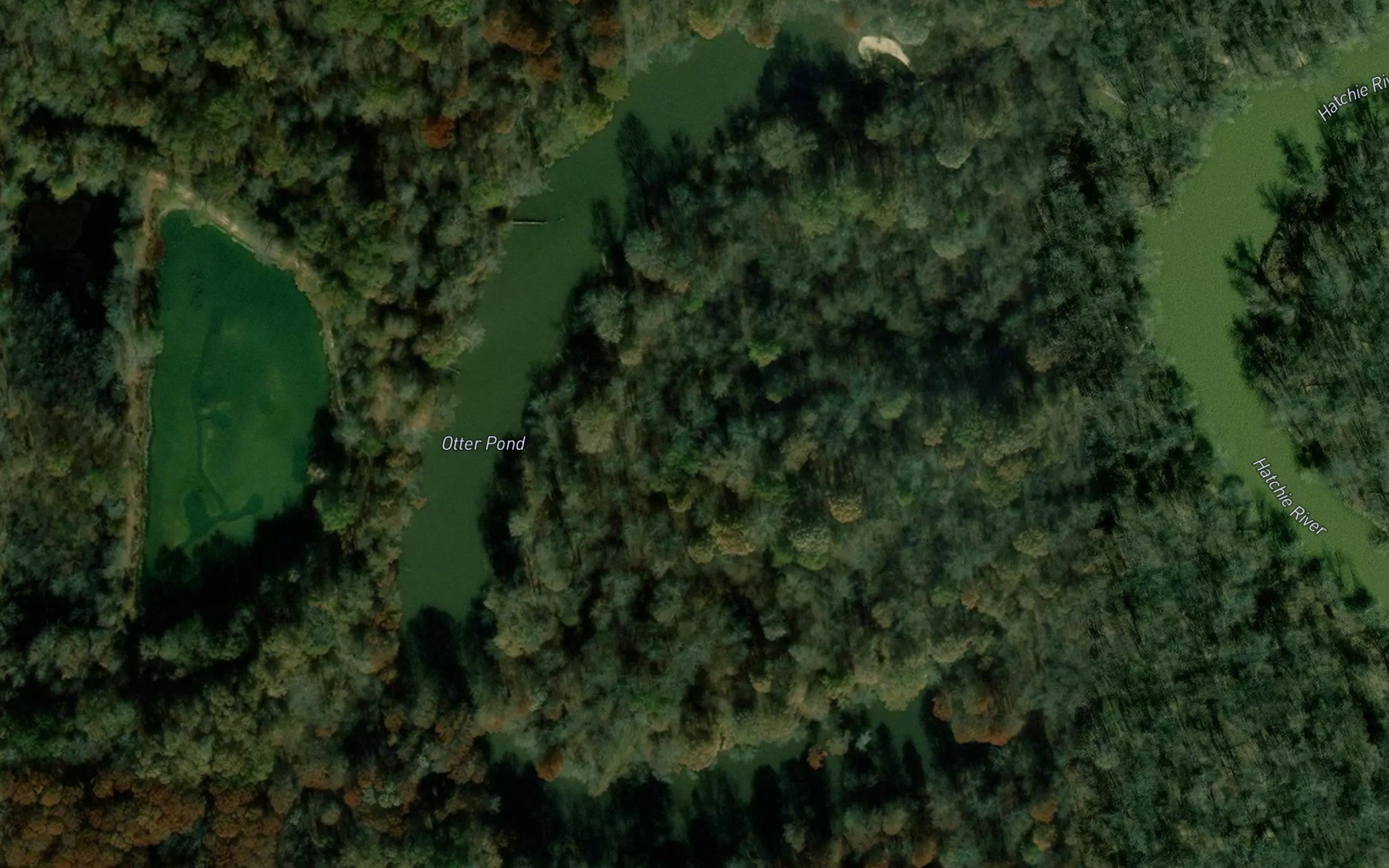 Satellite map of the Otter Pond