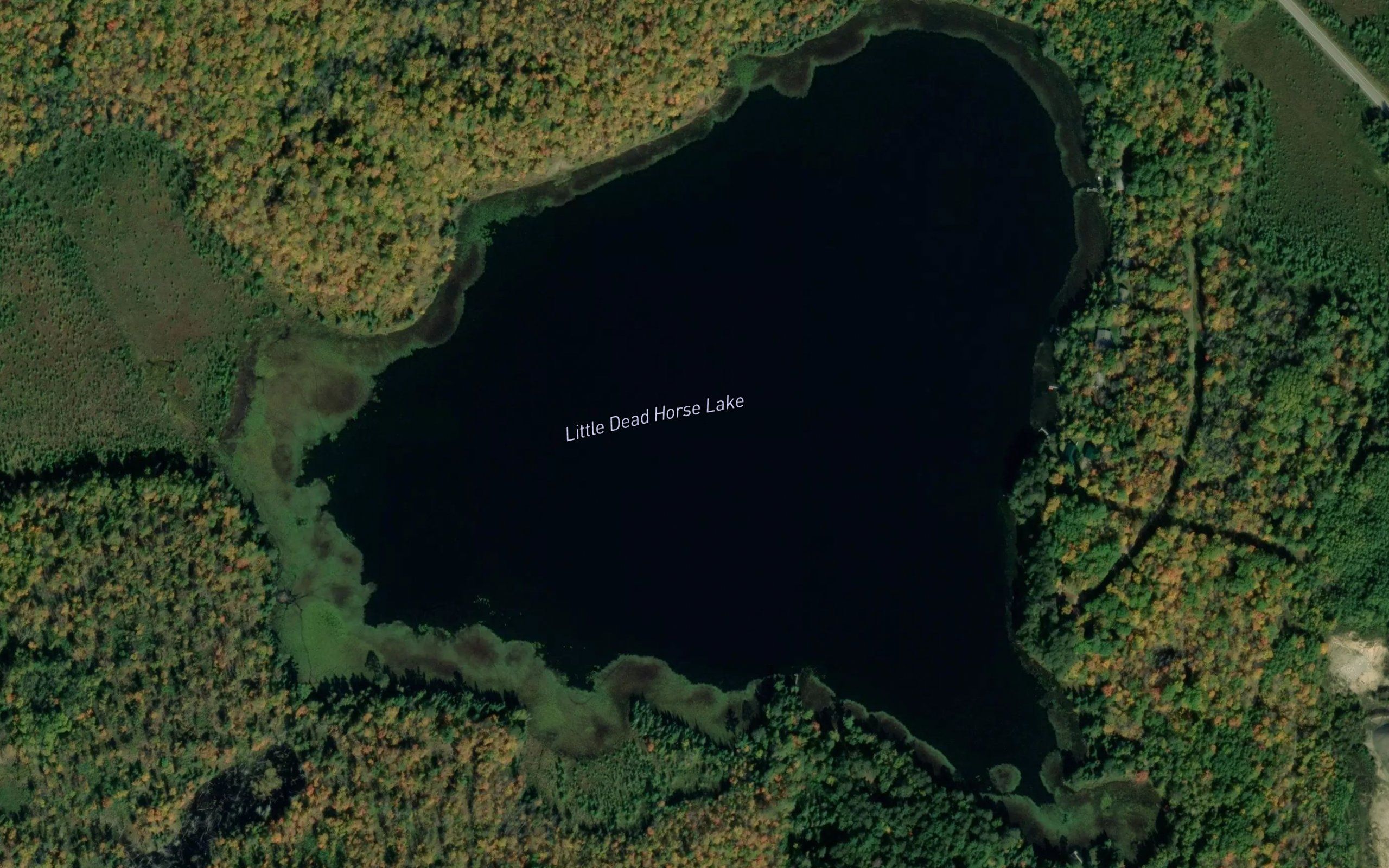 Little Dead Horse Lake