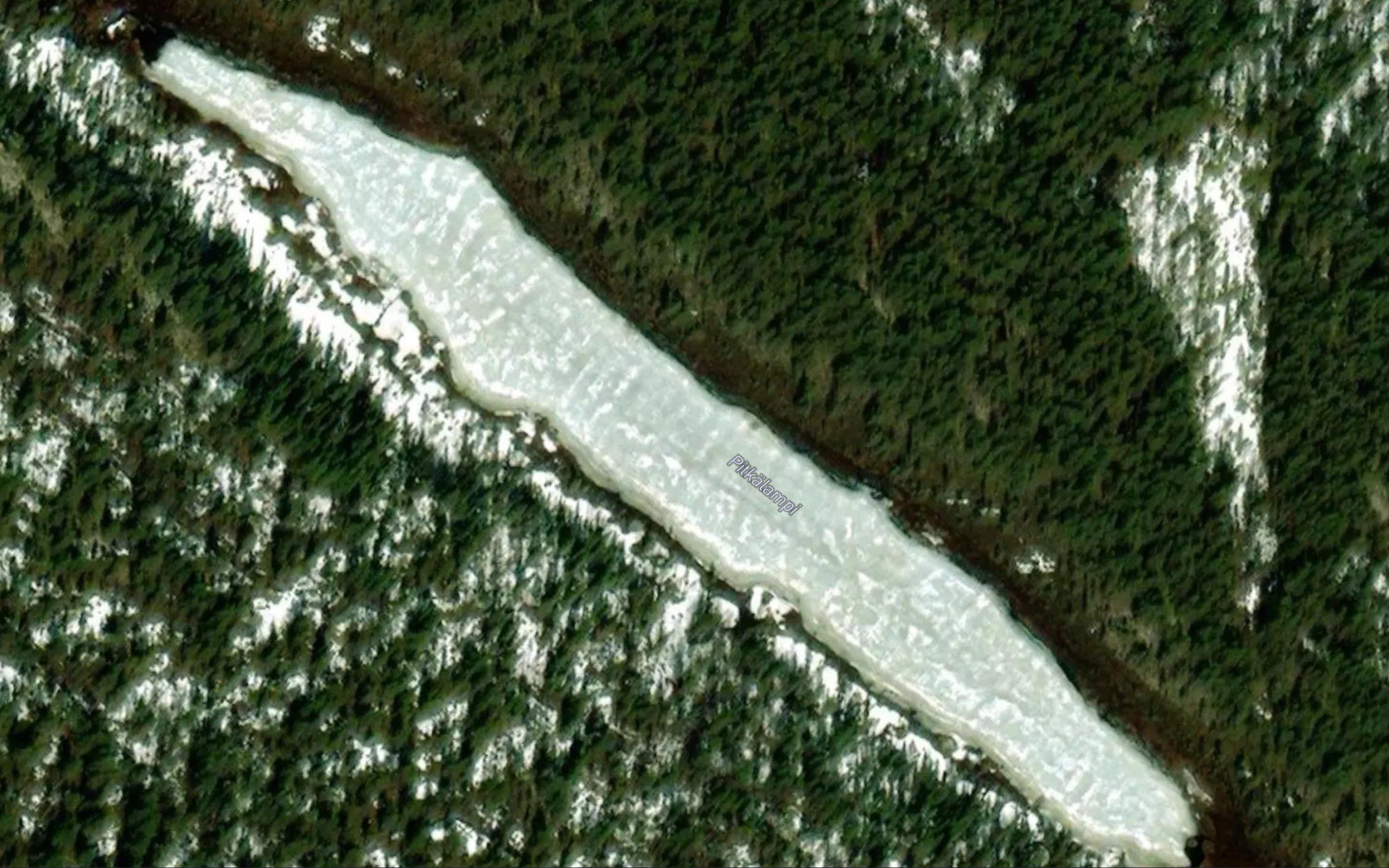 Pitkalampi
