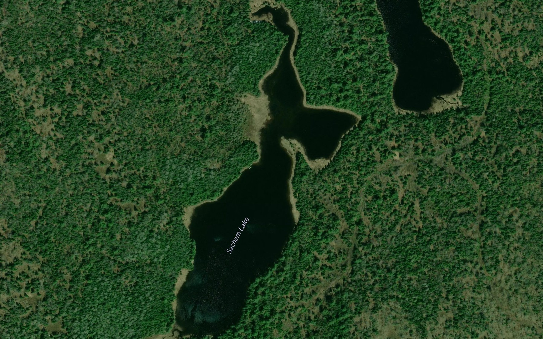 Satellite map of the Sachem Lake