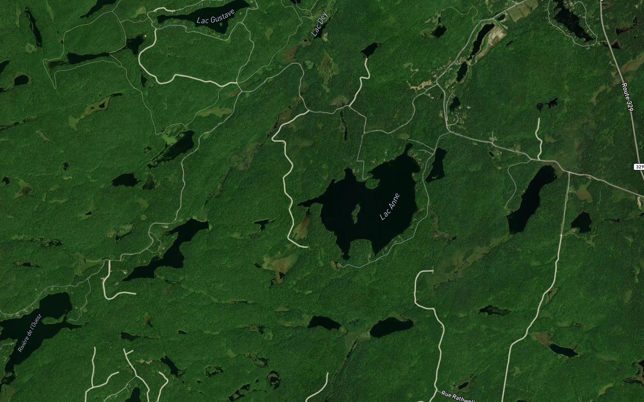 Baie Wood