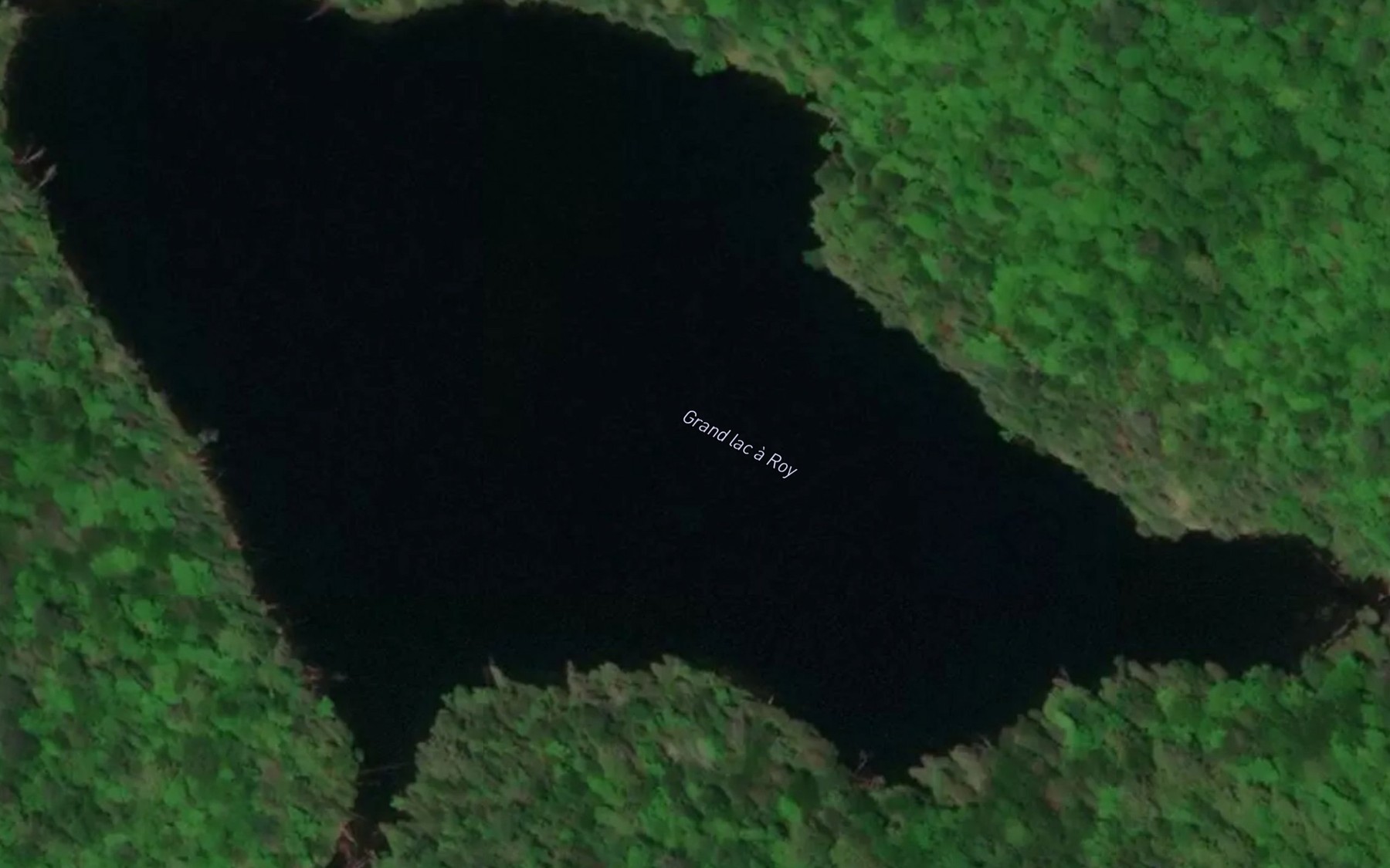 Satellite map of the Grand lac a Roy