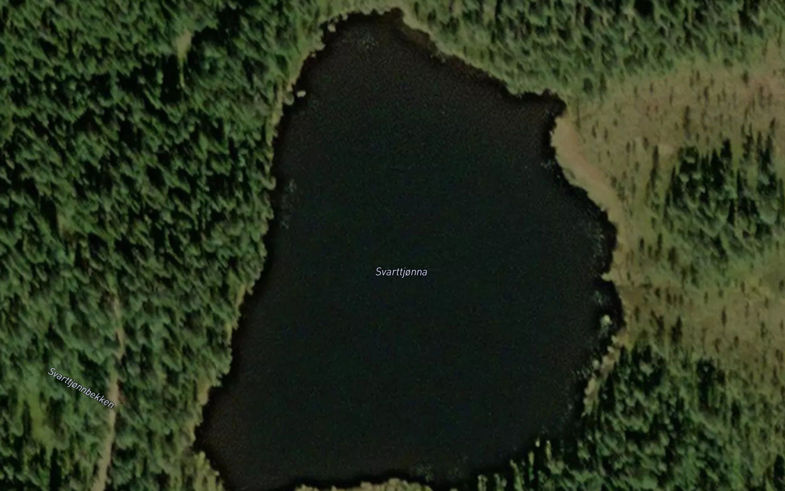 Svarttjorna