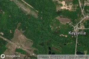 Reedy Creek